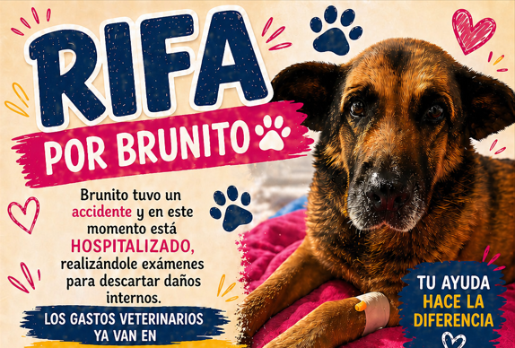 Imagen de referencia de la rifa RIFA POR BRUNITO 🐾